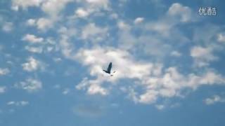 LEFLY 3CH Flapping Wing UAV RTF 2.4GHz