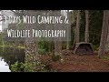 Wildlife Photography and Wild Camping | 3 Days in the Cairngorms, Scotland