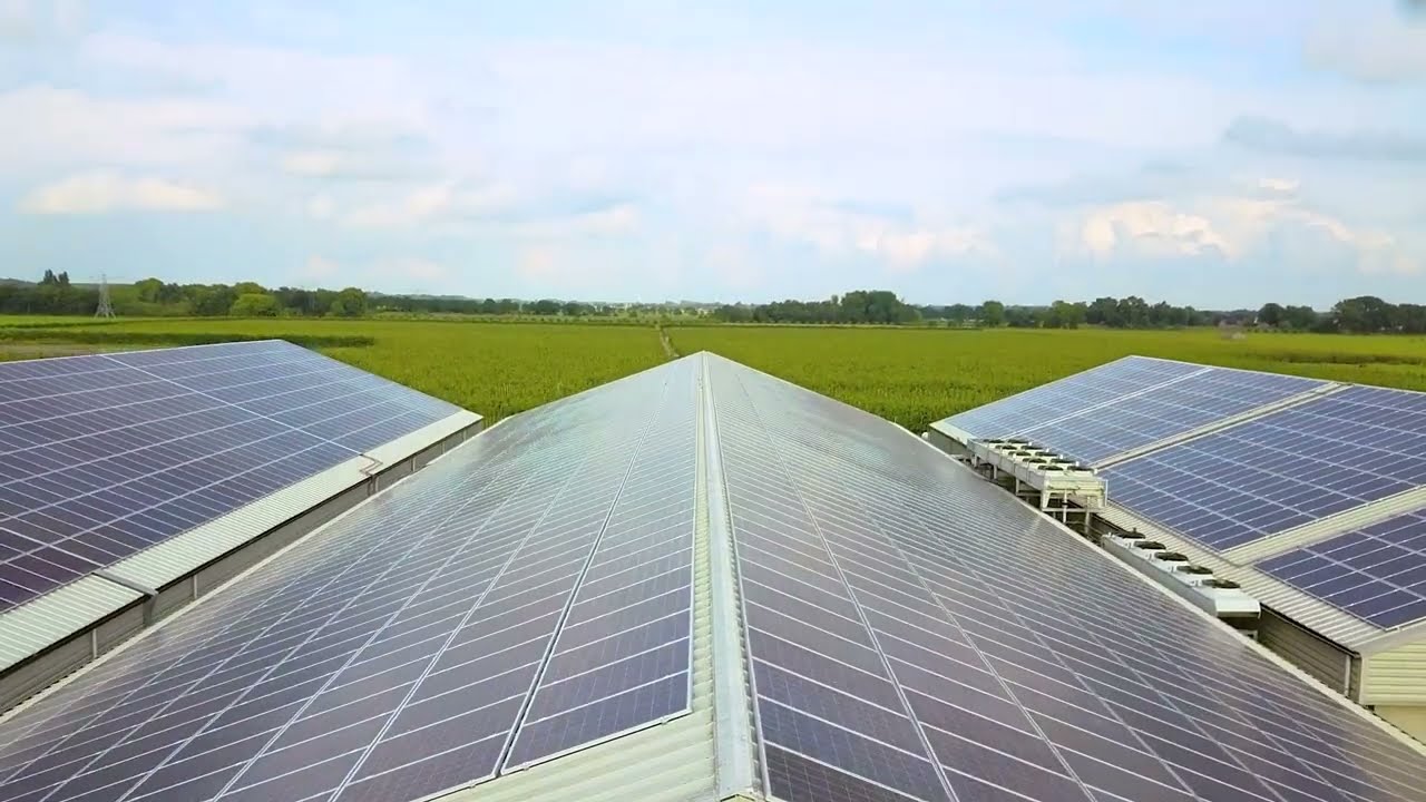 Yuneec Drones E90 - Verkooijen Fruit