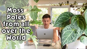 REACTING TO MY SUBSCRIBERS