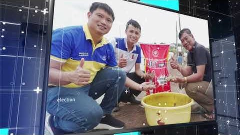 🌟𝟏𝟓𝟐 𝐍𝐆À𝐘- 𝐒𝐈𝐙𝐄 𝟏𝟒𝐂𝐎𝐍/𝐊𝐆! 𝐓Ô𝐌 𝐒Ú 𝐂.𝐏 𝐁Ứ𝐓 𝐏𝐇Á 𝐍𝐆𝐀𝐘 𝐓Ạ𝐈 𝐕Ù𝐍𝐆 𝐍𝐇𝐈Ễ𝐌 𝐄𝐇𝐏 🌟