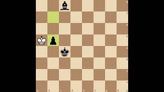 Endgame Study 34 Can White catch up with Black's runaway pawn