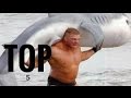 Top 50 WWE Superstars Transformations ft Brock lesnar ,John cena ,
batista, ryback , kane ,khali