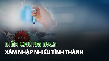 Biến chủng BA.5 xâm nhập nhiều Tỉnh Thành| VTC14