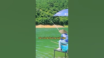 Câu cá mè cần lưu ý những gì #fishing #cauca