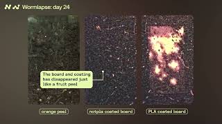 Notpla Coating vs other material - Biodegradability in action with our wormery