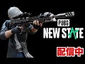 モバイルPUBGの最新作でめっちゃ遊ぶ