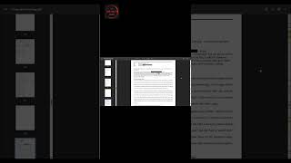 Jeffrey Epstein's Trump Accusations