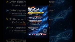 DNA &amp; RNA Polymerase in 60 Seconds 🔥 | NEET 2026 Full Concept | #neetexam #neetexam #neet2026 #ytsho