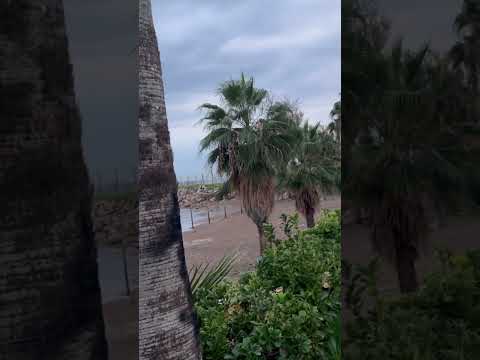 I Protected Refugees From Ruthless Gangs