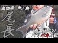 【磯釣り】 高知 沖ノ島 尾長チャレンジ 2019 森園正二の釣りバカ日記10