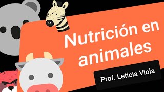 NUTRICIÓN en ANIMALES