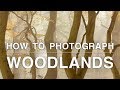 How to Photograph Trees, Mushrooms and Rivers | Woodland Photography Tips