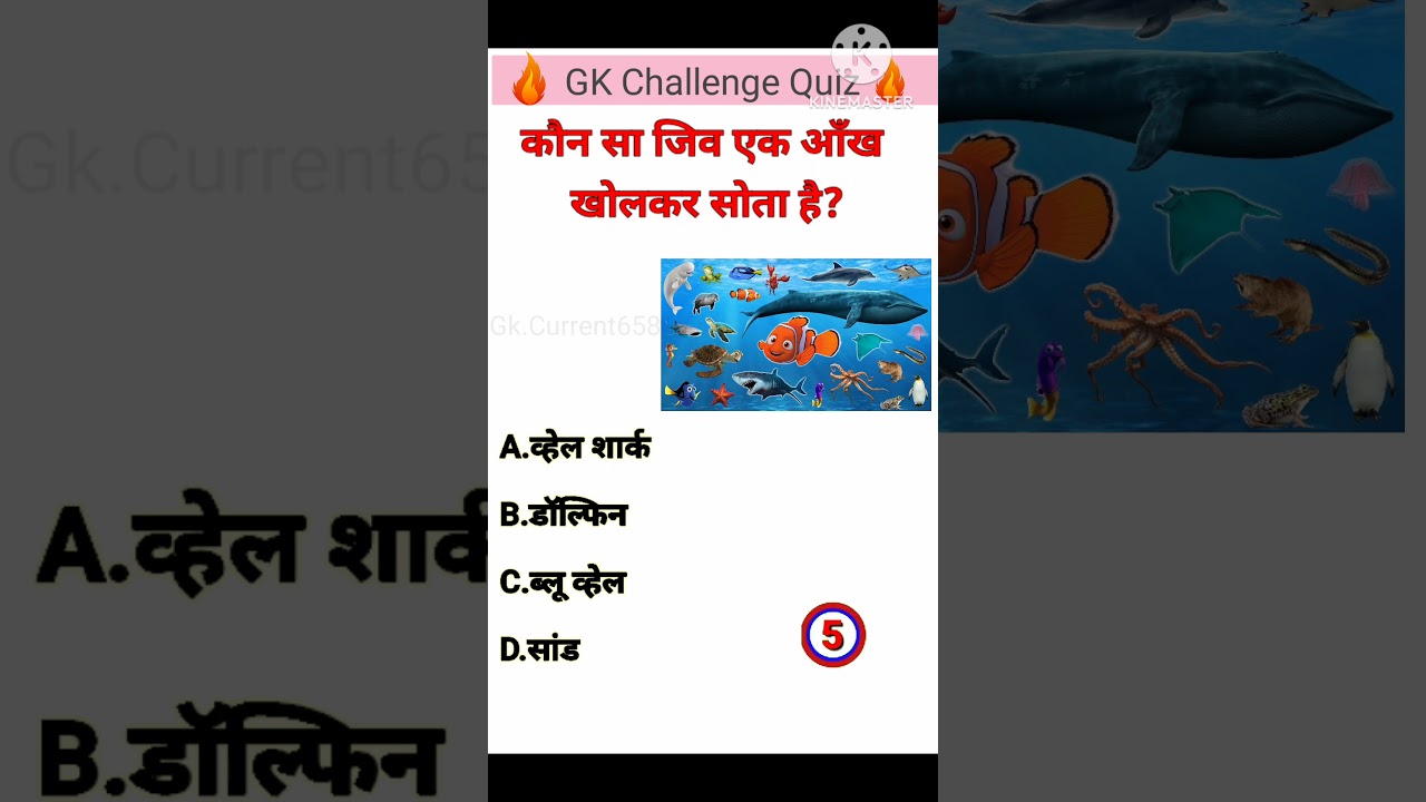 कौन सा जिव एक आँख खोलकर सोता है? 