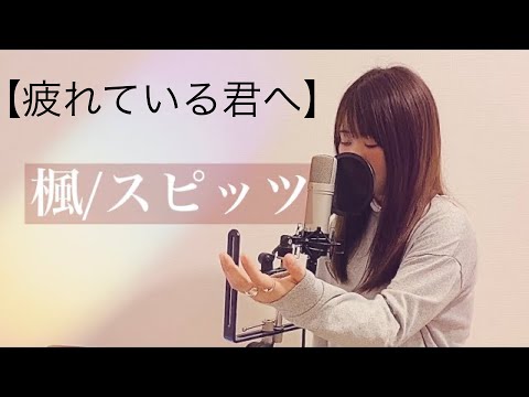 【疲れている君へ】楓/スピッツ（covered by あるとないと）