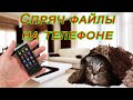 Срочно скройте эти файлы на своем телефоне, андроид!