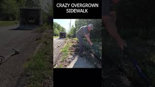 1ST STREET FRONT SIDEWALK #overgrownsidewalk #overgrownedging