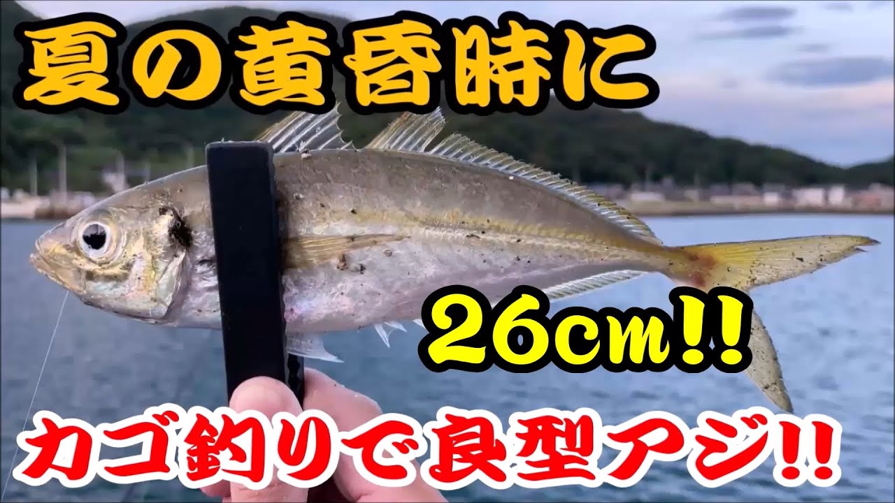 新商品 セリアから便利でお買い得な釣具が続々登場 特におすすめの3アイテムを紹介します 100均 セリア釣具 エギケース 釣具収納ケース 竿先カバー Youtube