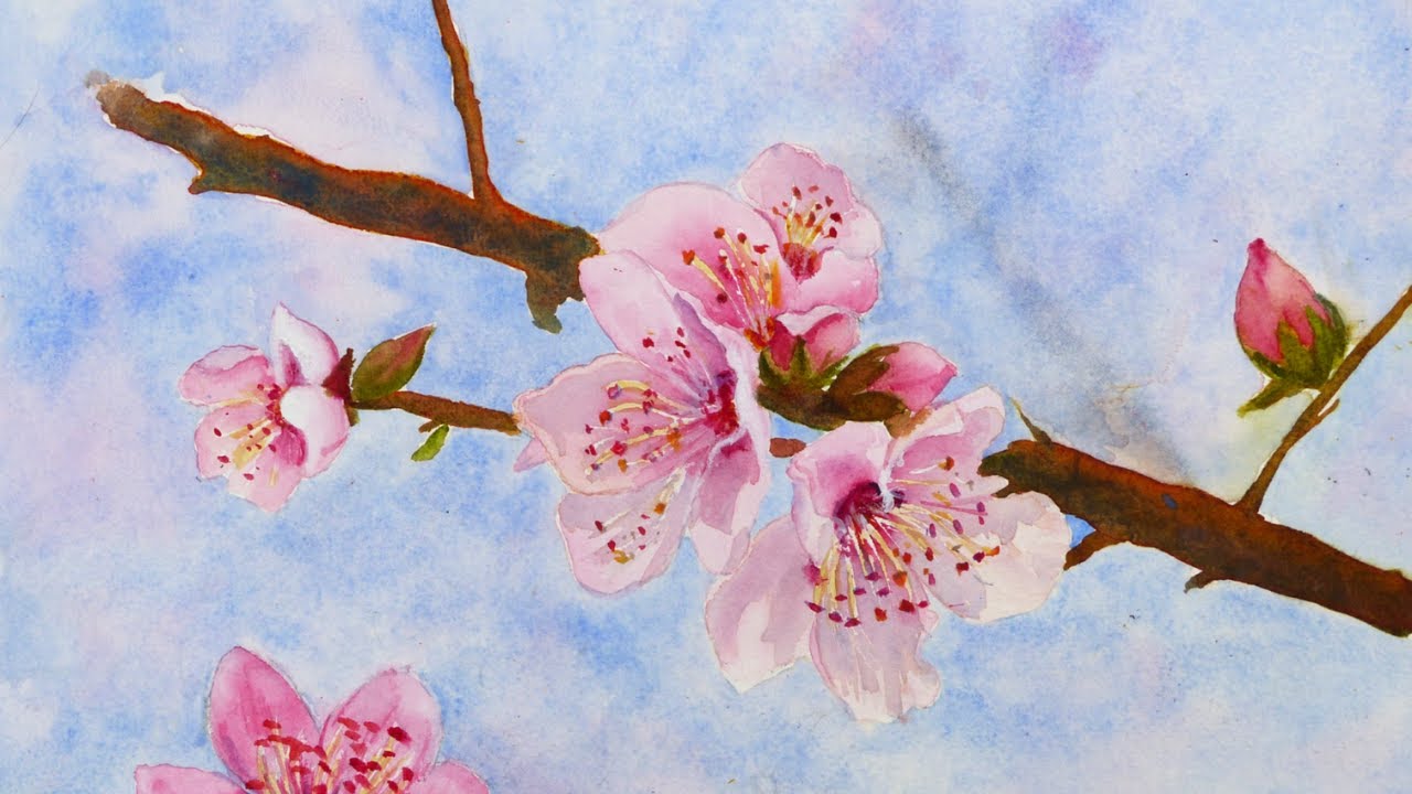 Comment peindre des fleurs de cerisier à l'aquarelle 