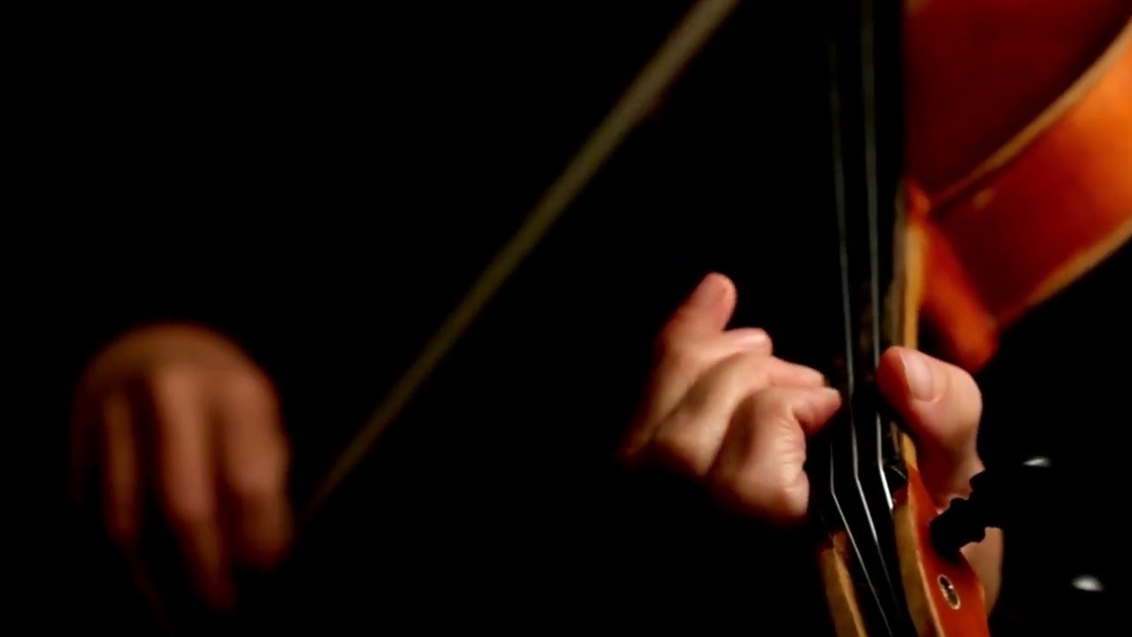 Online Violin & Fiddle Lessons We believe ANYONE can learn to play the violin or fiddle...