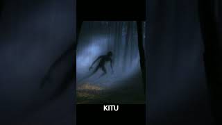 Fahamu Siri 3 Kuhusu Msitu Amazon Isikupite Hii   facts history viral ayubgiant tanzania