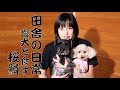 愛犬と一緒に釣りたてのサクラマスを食べました。 桜鱒御膳・トイプードル・ミニチュアシュナウザー
