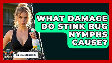 What Damage Do Stink Bug Nymphs Cause? - Insects and Invaders