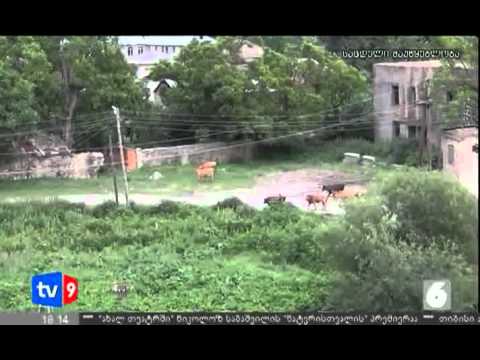 ახალი 6 | აღწერა ახალგორში | 19.06.12