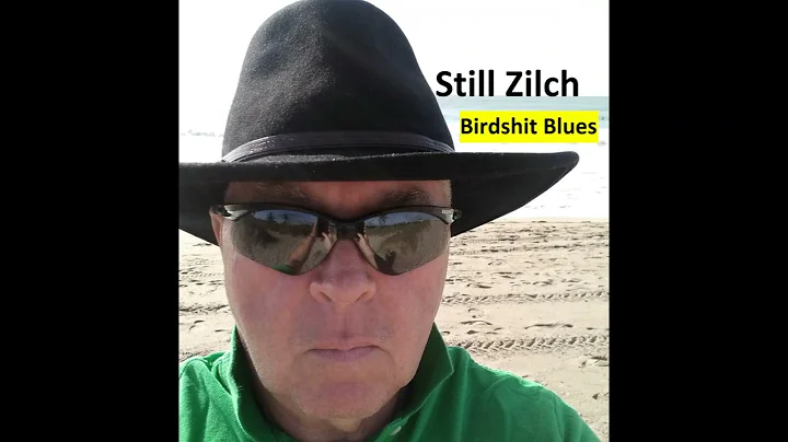 Still Zilch - Birdshit Blues