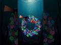 Finding Nemo Is a Fish Mating Ritual—Not a Father-Son Story