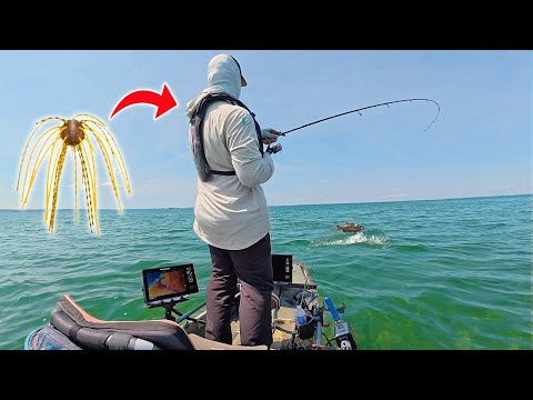 Are DICE Baits the Next Big Bass Fishing CHEAT Code?