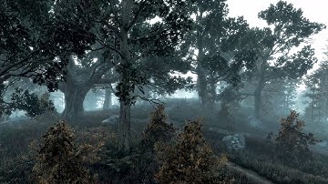 Rest at Heavy Rain Forest: The Witcher 3 Realistic Graphics Pcgame