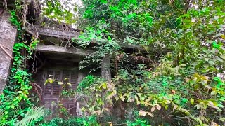 Cleaning the House for 10 Hours – The Results Made the Homeowner Cry | clean up house free