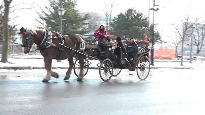 Montreal horse-drawn carriages take one last lap | AFP