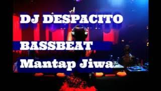 DJ DESPACITO SUPER BASSBEAT | REMIX MANTAP JIWA FULL BASS|RySiagian