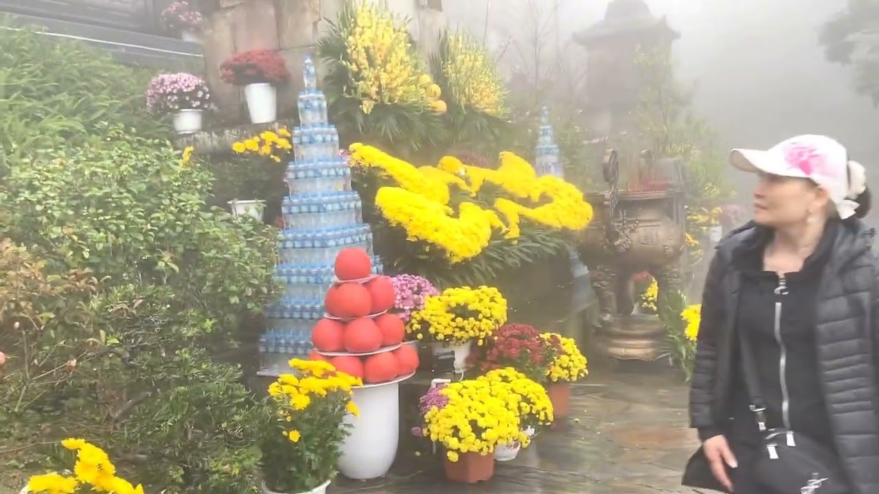 PHẬT LÀ ÁNH TỪ QUANG- NGOẠ VÂN 2026 ( HUÊ & TOÀN)