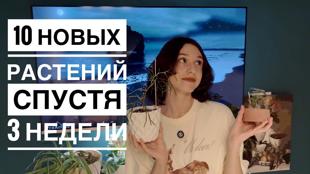 10 НОВЫХ РАСТЕНИЙ с моего первого свопа СПУСТЯ 3 НЕДЕЛИ! Пересадка и апдейт