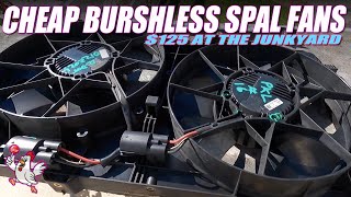 Cheap 12 Inch Brushless Spal Fans