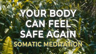 Vagus Nerve Reset Meditation | Somatic Healing for Anxiety & Nervous System Calm