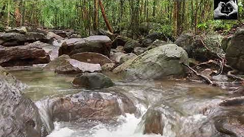 雨中的恋爱们 / 黄凯芹 / Cuộc tình trong cơn mưa
