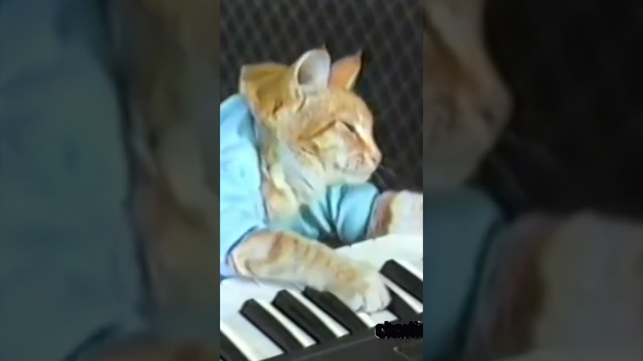 Keyboard Kat Keyboard Cat 1984