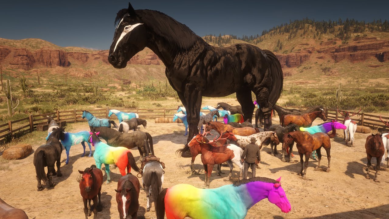 Meet the Colorful Champions | Arthur's Unique Horse Taming Adventures | Big Black Shark Horses
