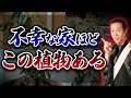 あの幸運を呼ぶ植物が実は...。貧乏神や悪運を引き寄せる危険な観葉植物５選