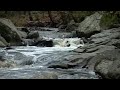 Anacostia - Restoring the Peoples River
