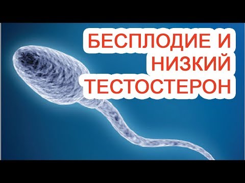 Бесплодие и низкий тестостерон / Доктор Черепанов