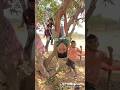 Ped Par Kyu Latke Ho 😂 Gir Jaoge Sale | Funny Desi Comedy Video 2026 #shorts