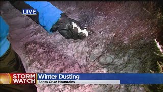 Winter Dusting In Santa Cruz Mountains