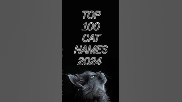 TOP 100 CAT NAMES OF 2024 75- 71 #cats #catnames #top100 #cat #cats #lists #shorts #tiktok