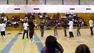 LTA & AphiA Stroll
