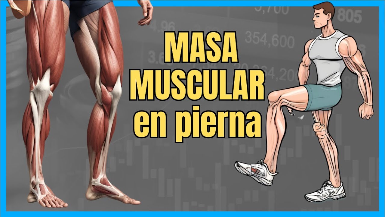 5 ejercicios QUE TODO ADULTO MAYOR debe hacer PARA GANAR MASA muscular en piernas